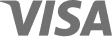 Trusted partner logo: Visa